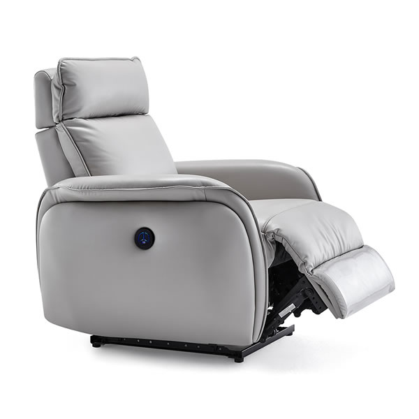 sofa salon chair